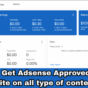 Get Your AdSense-Approved Website in Just 48 Hours!